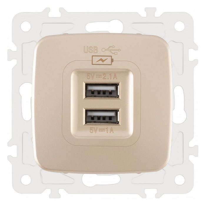 Розетка USB, без рамки 205.46-1.shampan - купить Розетки по цене 1449.0