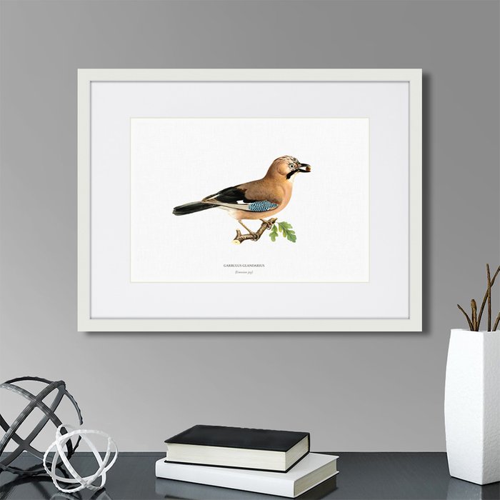 Набор из двух картин Tiny birds - купить Картины по цене 5990.0