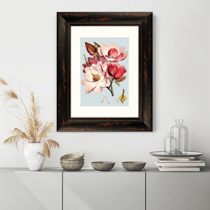 Репродукция картины Himalaya Plants Pink Flower 1869 г. - лучшие Картины в INMYROOM