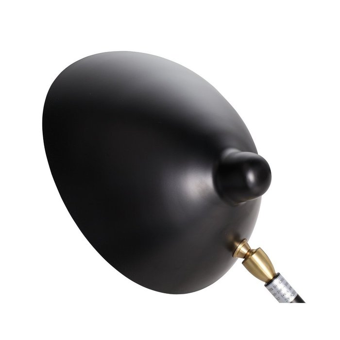 Настольная лампа  Spruzzo черного цвета - купить Настольные лампы по цене 12260.0