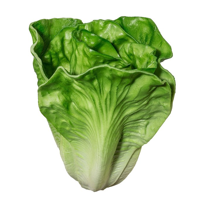 Декор для мерчандайзинга Salat зеленого цвета