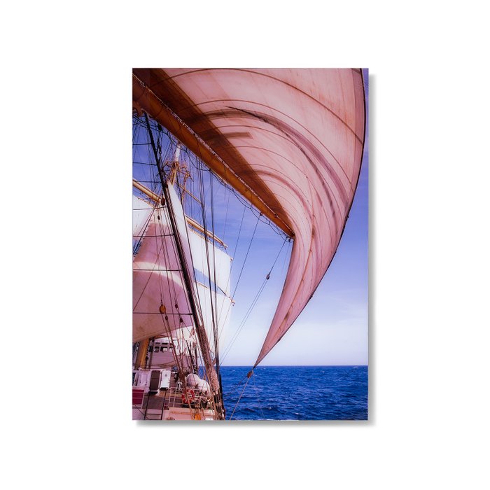Картина на холсте Sails 80х120