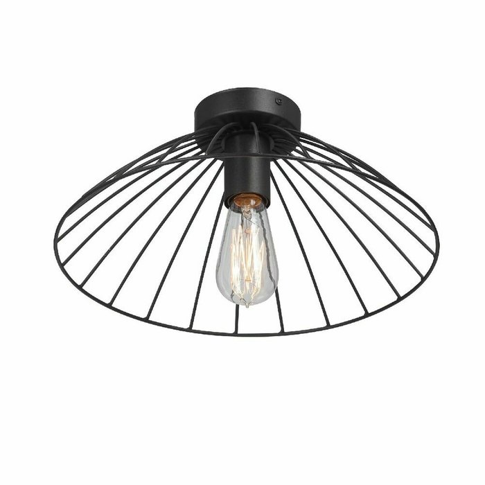 Потолочный светильник V3036-1/1PL (металл, цвет черный) - лучшие Потолочные светильники в INMYROOM