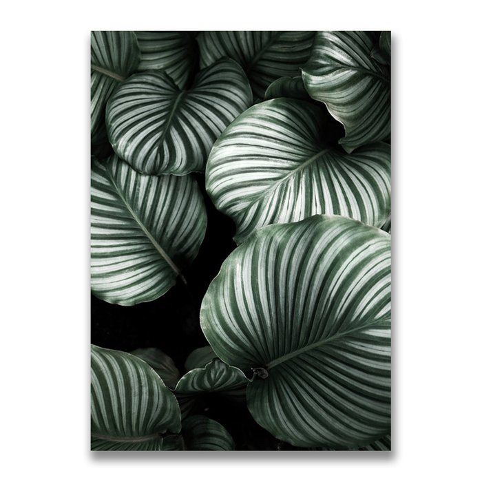 Картина на холсте Зеленые листья №3 50х70 см