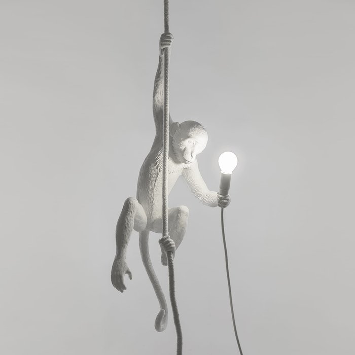 Подвесной светильник SelettI The Monkey Lamp Ceiling Version - купить Подвесные светильники по цене 32470.0