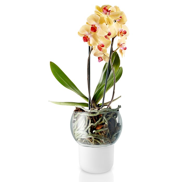 Горшок для орхидеи с функцией самополива 15 см белый