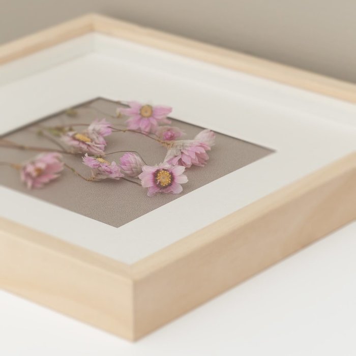 Картина с розовыми сухоцветами - лучшие Декор стен в INMYROOM