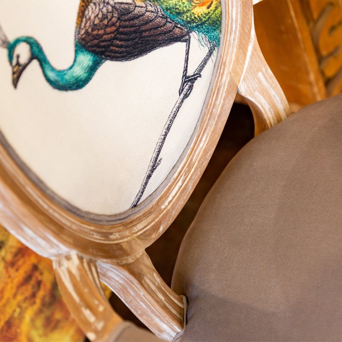 Стул Королевская птица бежевого цвета - купить Обеденные стулья по цене 39000.0