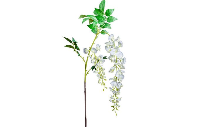 Искусственный цветок  Глициния белая  - купить Декоративные цветы по цене 408.0