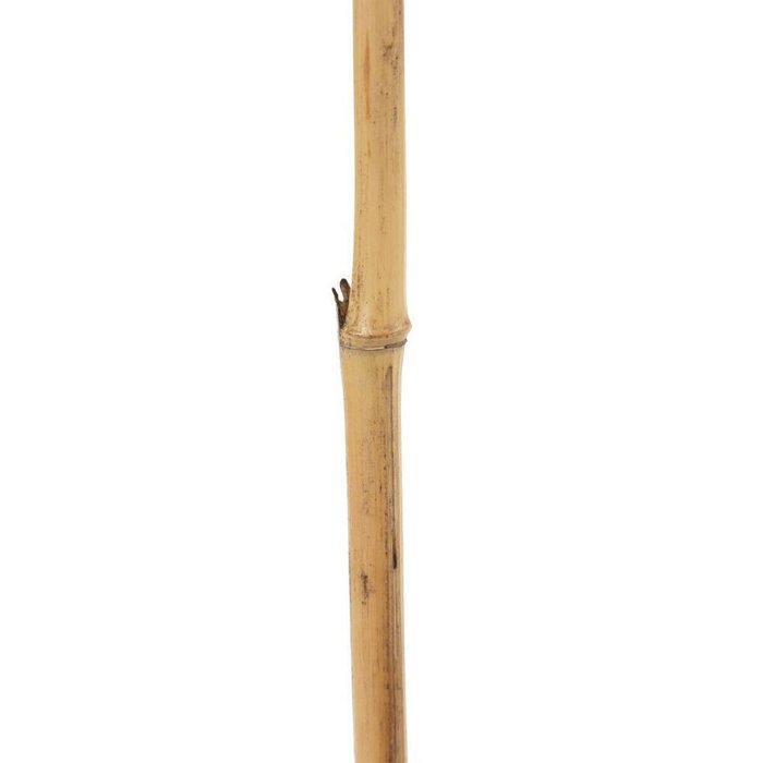 Ветка Бежевый Цветок 8 x 8 x 156 cm - купить Декоративные цветы по цене 3571.0