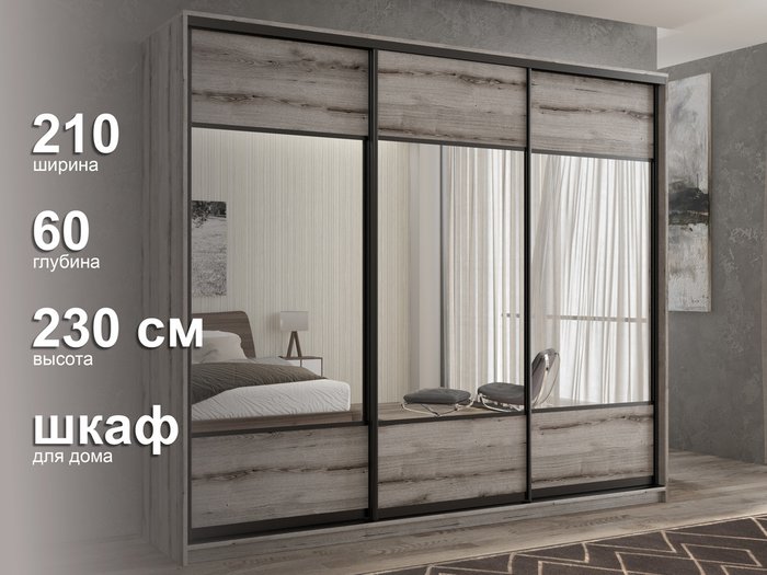 Шкаф-купе Кааппи-6 210 цвета Эвок окаменелый  - лучшие Шкафы-купе в INMYROOM