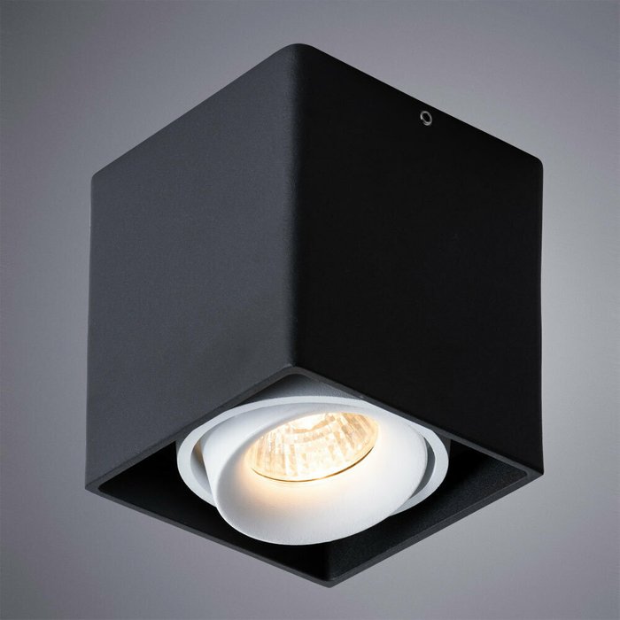 Потолочный светильник Pictor черного цвета - купить Потолочные светильники по цене 620.0