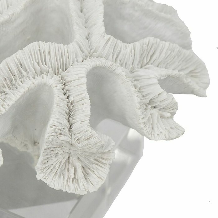 Декор Коралл белого цвета - лучшие Фигуры и статуэтки в INMYROOM