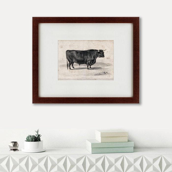 Картина A west highland bull 1840 г.