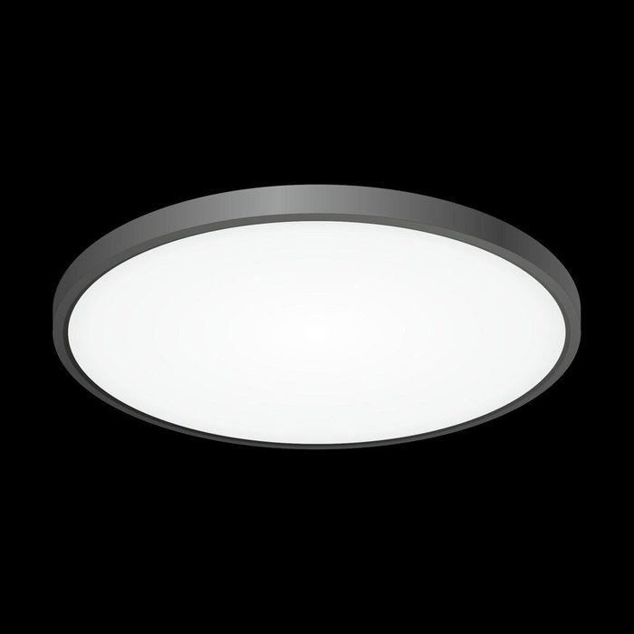 Citilux Бейсик CL738401V Светильник накладной Чёрный