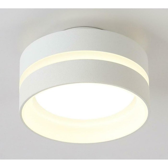 Потолочный светильник Ambrella light TN5419 - лучшие Потолочные светильники в INMYROOM