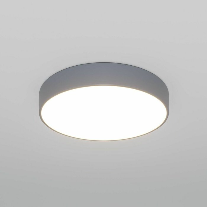 Потолочный светильник 90319/1 серый - купить Потолочные люстры по цене 16900.0
