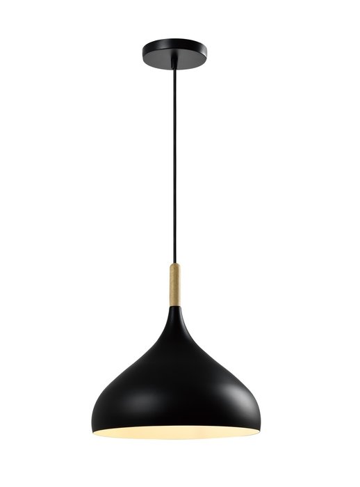 Подвесной светильник Eline черного цвета - лучшие Подвесные светильники в INMYROOM