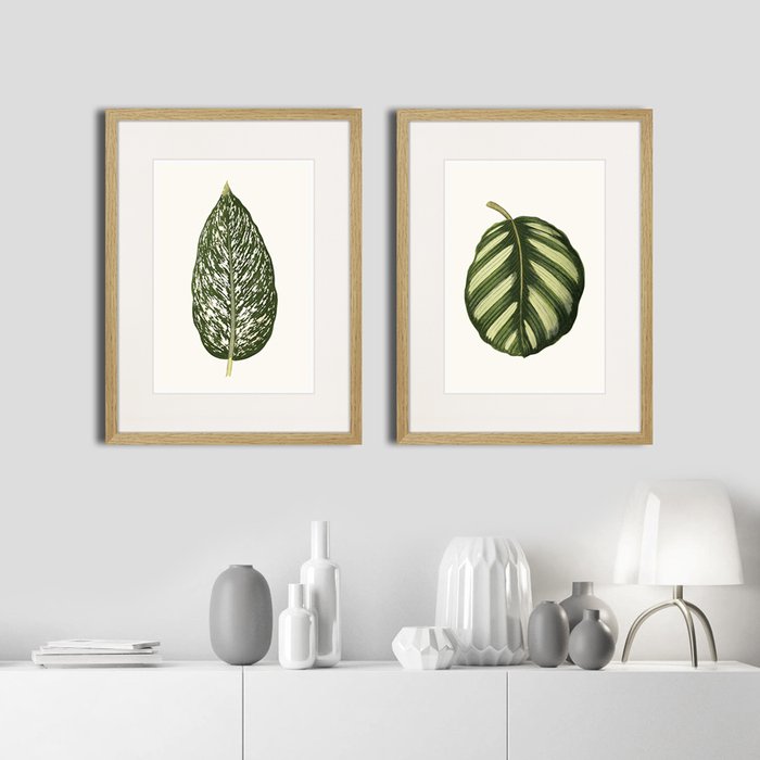 Набор из двух картин Single leaf of a plant 
