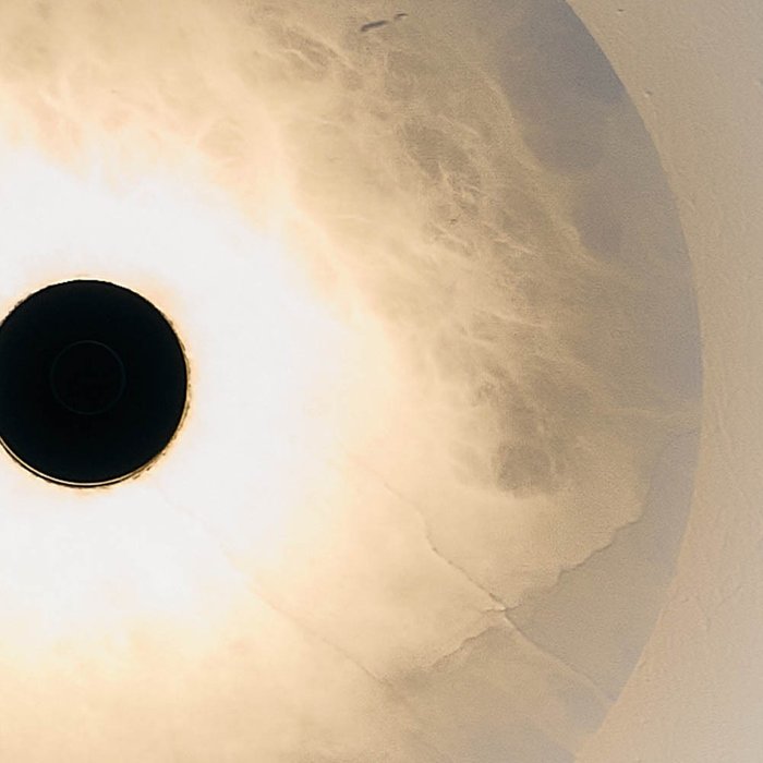 Бра Sual бело-черного цвета - купить Бра и настенные светильники по цене 39990