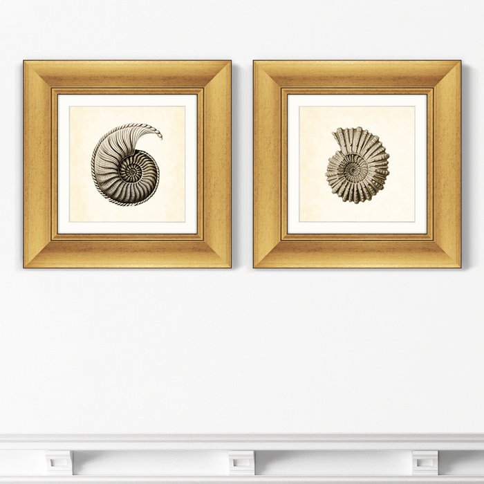 Набор из двух картин Морской обитатель №2 1877 г. 