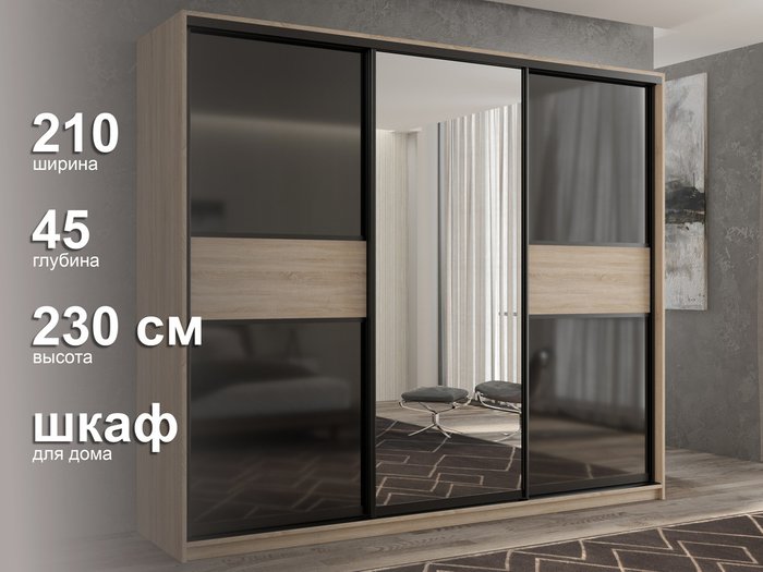 Шкаф-купе Кааппи-9 210 М цвета Дуб сонома - лучшие Шкафы-купе в INMYROOM