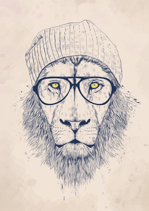 Принт «Cool lion» by Balazs Solti