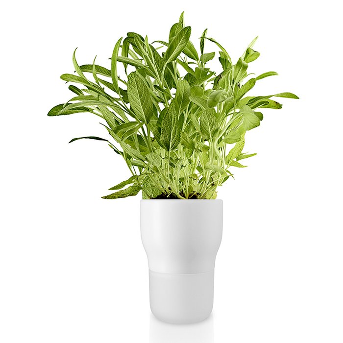 Горшок для растений с функцией самополива 11 см белый - купить Кашпо и горшки по цене 3790.0
