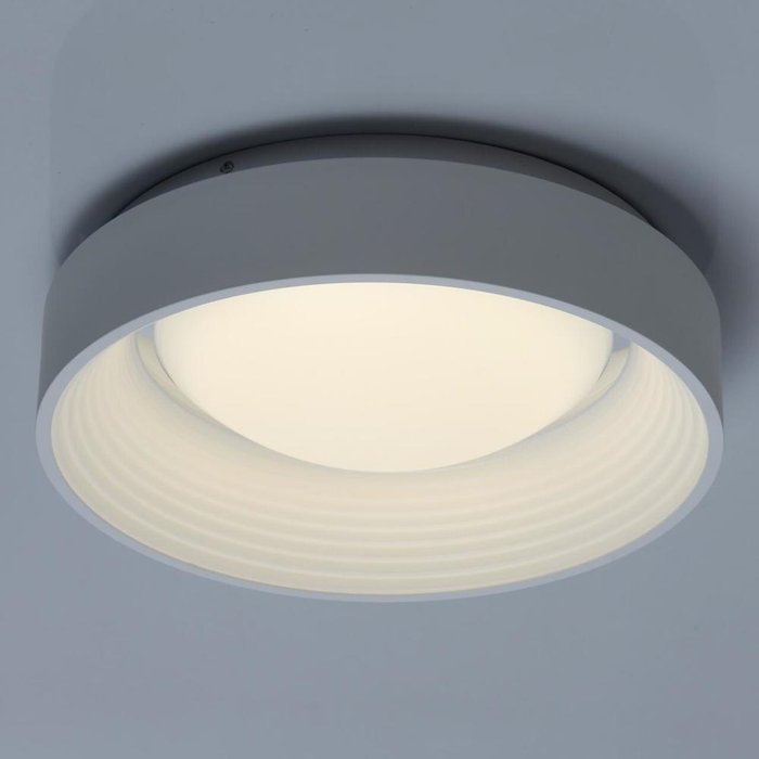 Потолочный светодиодный светильник Ривз  - лучшие Потолочные светильники в INMYROOM