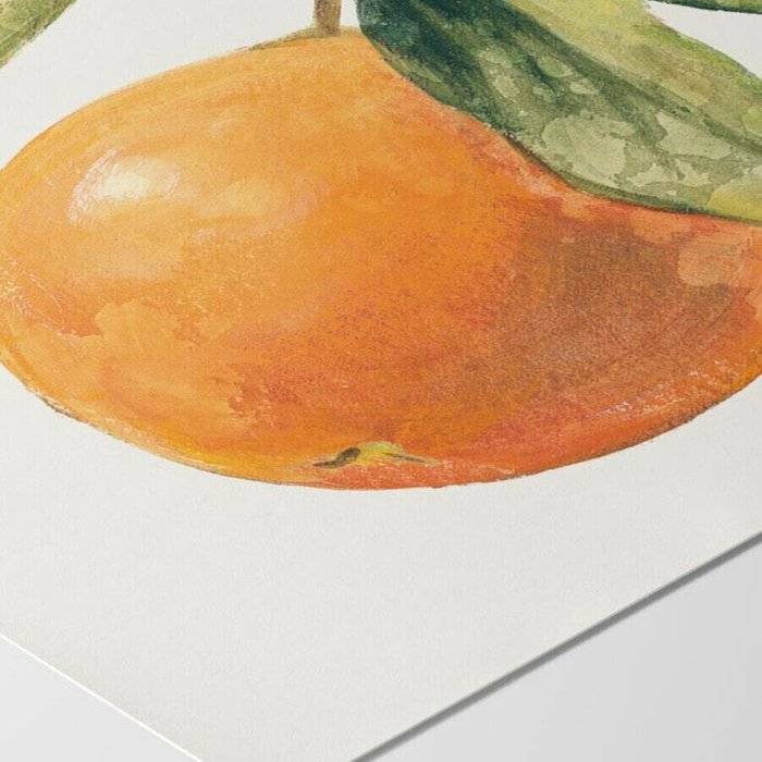 Принт Дикое Яблоко - Le Orange On Cream - купить Принты по цене 10780.0 Принт Дикое Яблоко - Le Orange On Cream - купить Принты по цене 10780.0