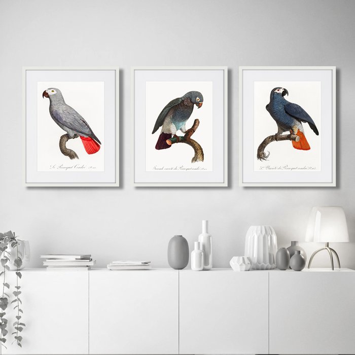 Набор из трех картин Beautiful parrots №2 