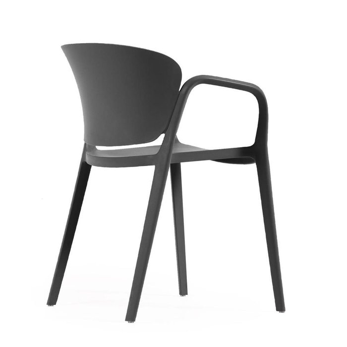 Стул Ania черного цвета - лучшие Обеденные стулья в INMYROOM
