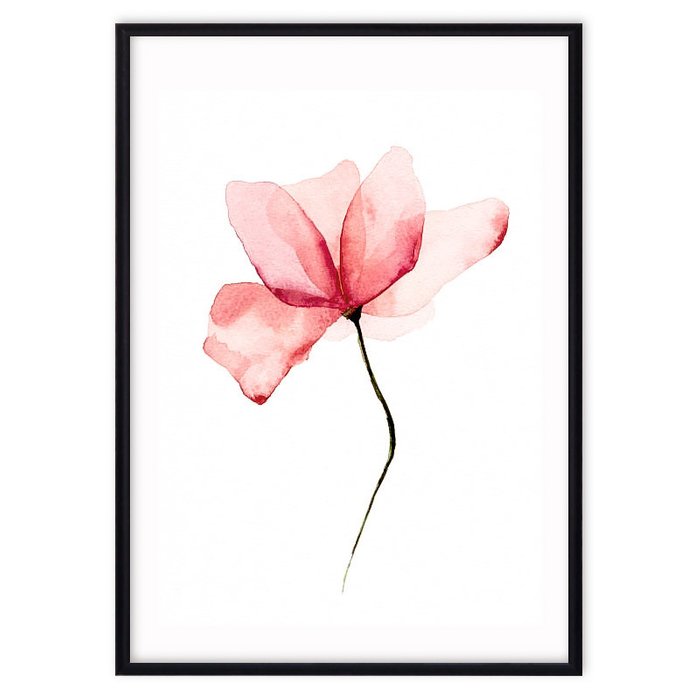 Постер в рамке Розовый цветок 21х30 см