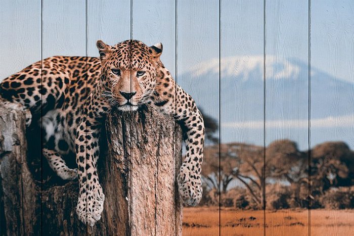 Картина на дереве Леопард в прериях