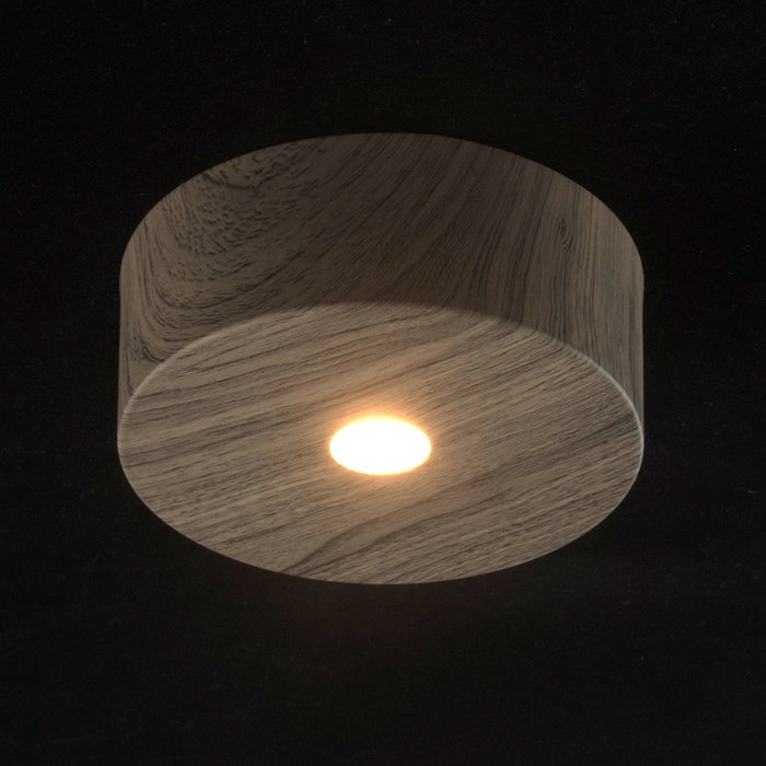 Потолочный светодиодный светильник Иланг цвета темного дерева - купить Потолочные светильники по цене 6040.0