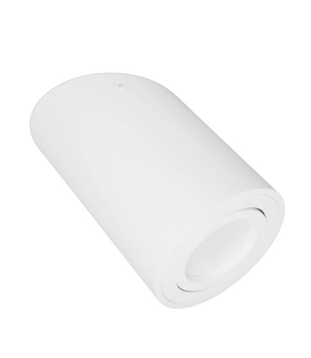 Накладной светильник Alesti белого цвета - купить Накладные споты по цене 1400.0