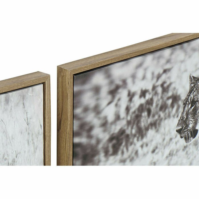 Картина 92,5 x 3,5 x 32 cm Колониальный Джунгли (3 Предметы) - лучшие Картины в INMYROOM