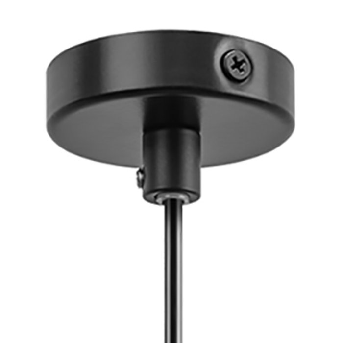 Подвесной светильник Loft черного цвета - лучшие Подвесные светильники в INMYROOM