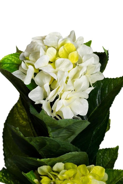 Искусственный цветок Гортензия белая в горшке  - купить Декоративные цветы по цене 5040.0