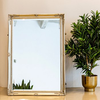 Настенное зеркало Эдгар нежно золотистого цвета - купить Настенные зеркала по цене 9000.0