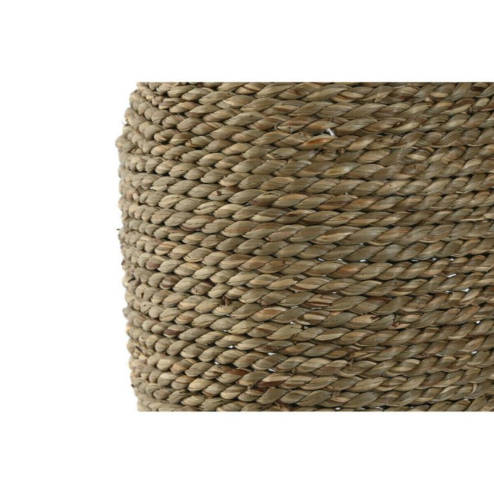 Ваза Натуральный Тропический 15 x 15 x 32 cm - купить Вазы  по цене 6979.0