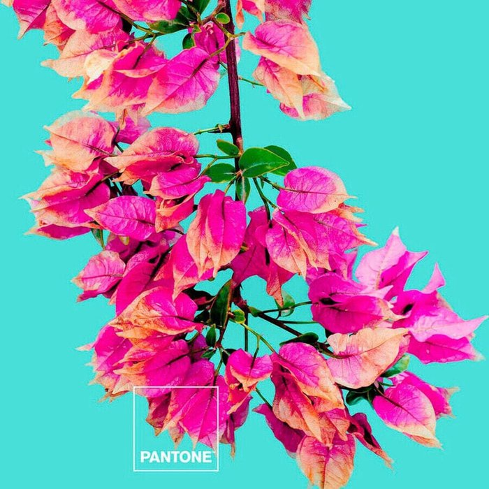 Пододеяльник Bugnavilla Pantone - лучшие Пододеяльники в INMYROOM