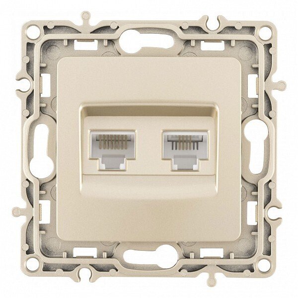 Розетка двойная RJ-11 и Ethernet RJ-45, без рамки 217.44-1.shampan Розетка двойная RJ-11 и Ethernet RJ-45, без рамки 217.44-1.shampan