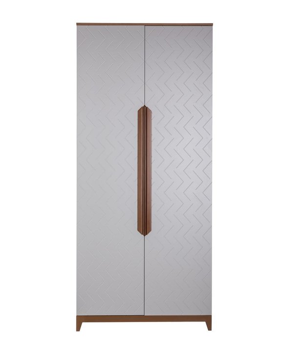 Шкаф двухстворчатый Сканди с фасадом светло-серого цвета - лучшие Шкафы распашные в INMYROOM