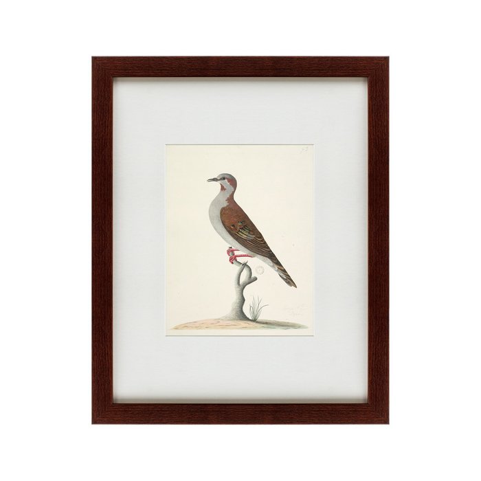 Картина The brown bird  - купить Картины по цене 4990.0
