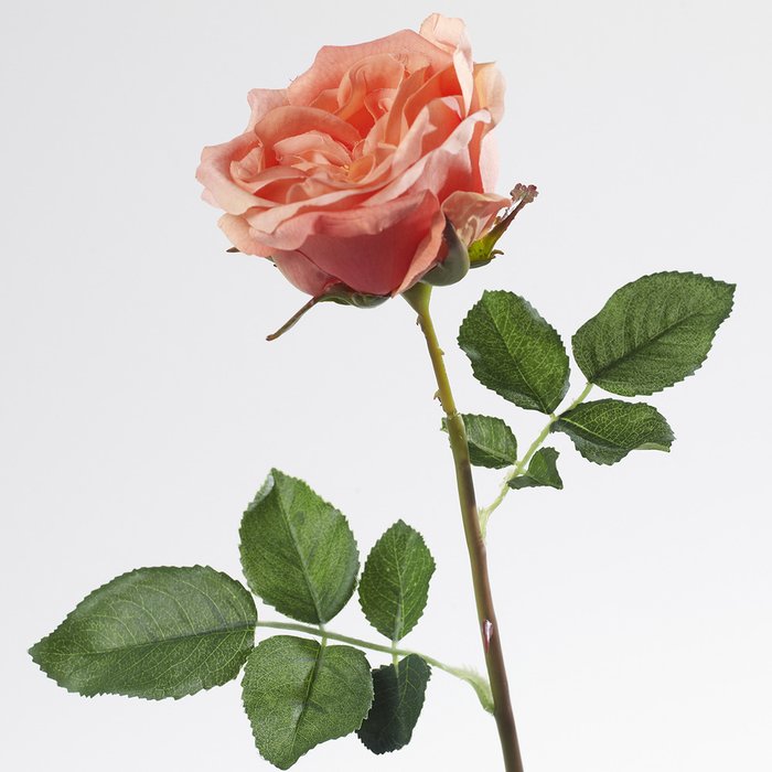 Декор Роза - купить Вазы  по цене 418.0