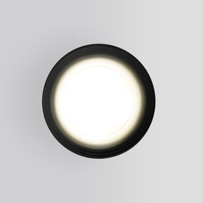 Уличный потолочный светильник Light черного цвета - купить Потолочные уличные светильники по цене 2360.0