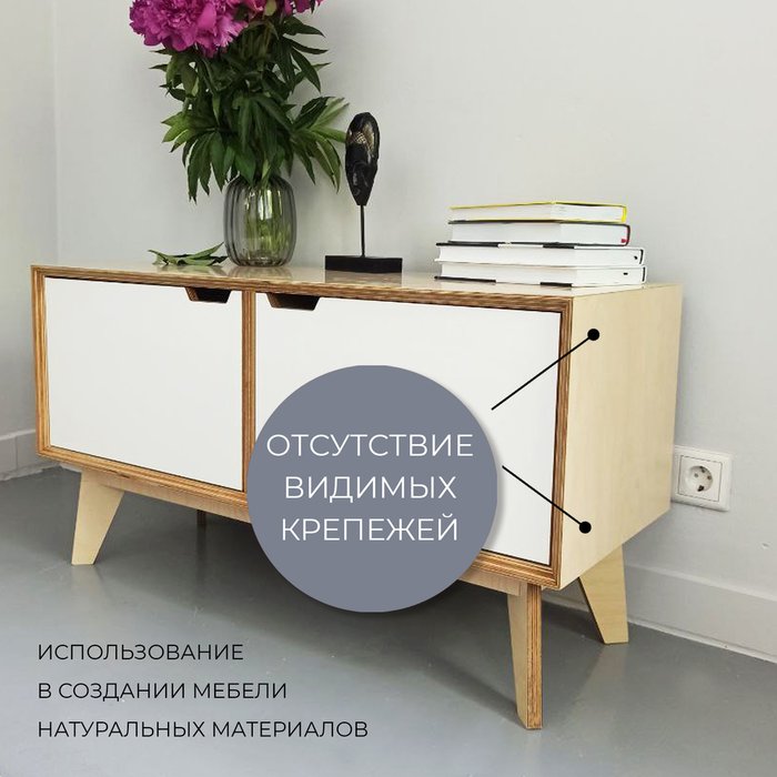 Тумба под телевизор Риджи S на ножках - лучшие Тумбы для ТВ в INMYROOM