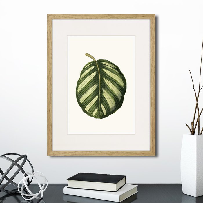Набор из двух картин Single leaf of a plant  - лучшие Картины в INMYROOM