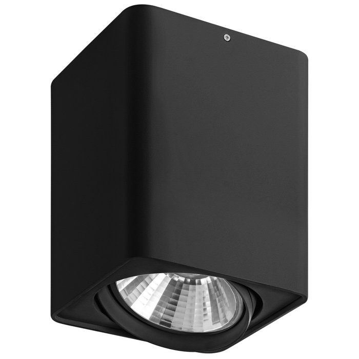 Потолочный светильник Monocco черного цвета - лучшие Потолочные светильники в INMYROOM